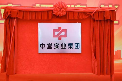 高質(zhì)量發(fā)展新征程 中堂實(shí)業(yè)集團(tuán)揭牌成立，百墩實(shí)業(yè)開啟新篇章